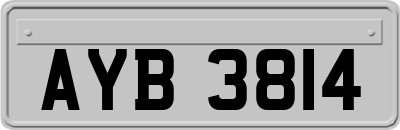AYB3814