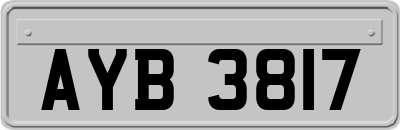 AYB3817