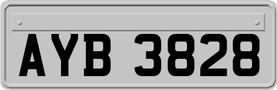 AYB3828
