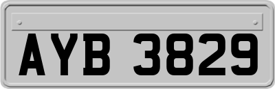 AYB3829