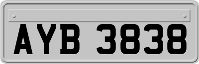 AYB3838