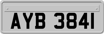 AYB3841