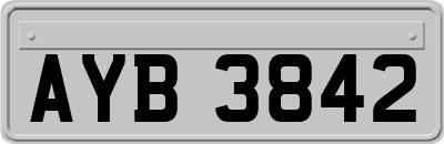 AYB3842