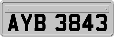 AYB3843