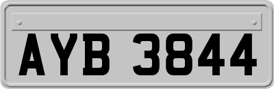 AYB3844