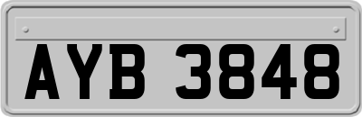 AYB3848
