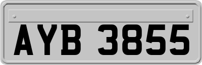 AYB3855