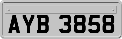 AYB3858