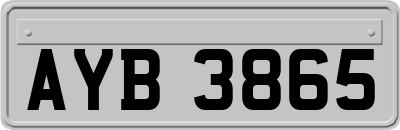 AYB3865