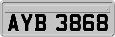 AYB3868