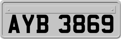AYB3869
