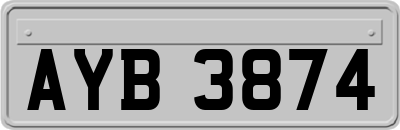 AYB3874