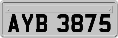AYB3875