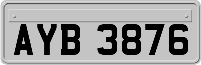 AYB3876