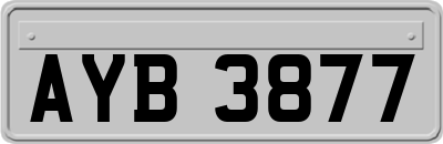 AYB3877