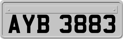 AYB3883