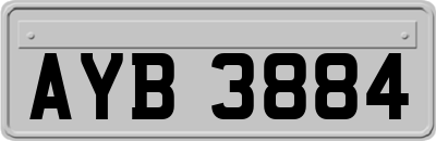 AYB3884