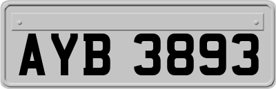 AYB3893