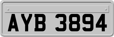 AYB3894