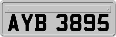 AYB3895