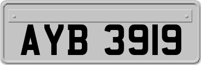AYB3919