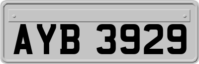 AYB3929