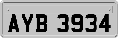 AYB3934