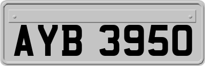 AYB3950