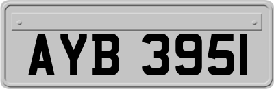AYB3951