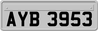 AYB3953