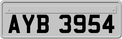 AYB3954
