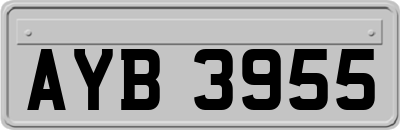 AYB3955