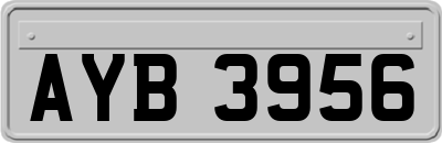 AYB3956