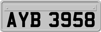 AYB3958
