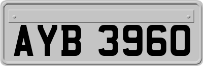 AYB3960