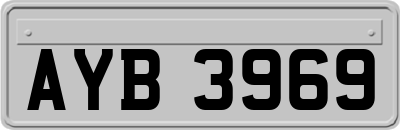 AYB3969