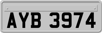 AYB3974