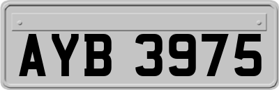 AYB3975