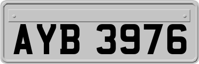 AYB3976