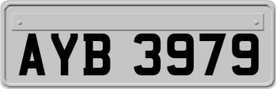 AYB3979