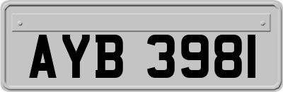 AYB3981