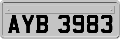 AYB3983