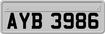 AYB3986