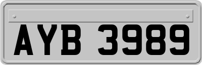 AYB3989