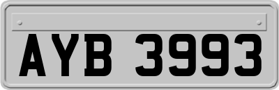 AYB3993