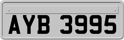 AYB3995