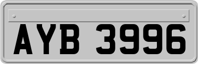 AYB3996