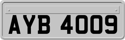 AYB4009