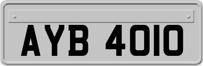 AYB4010