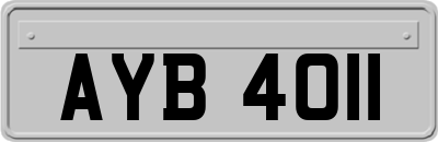 AYB4011